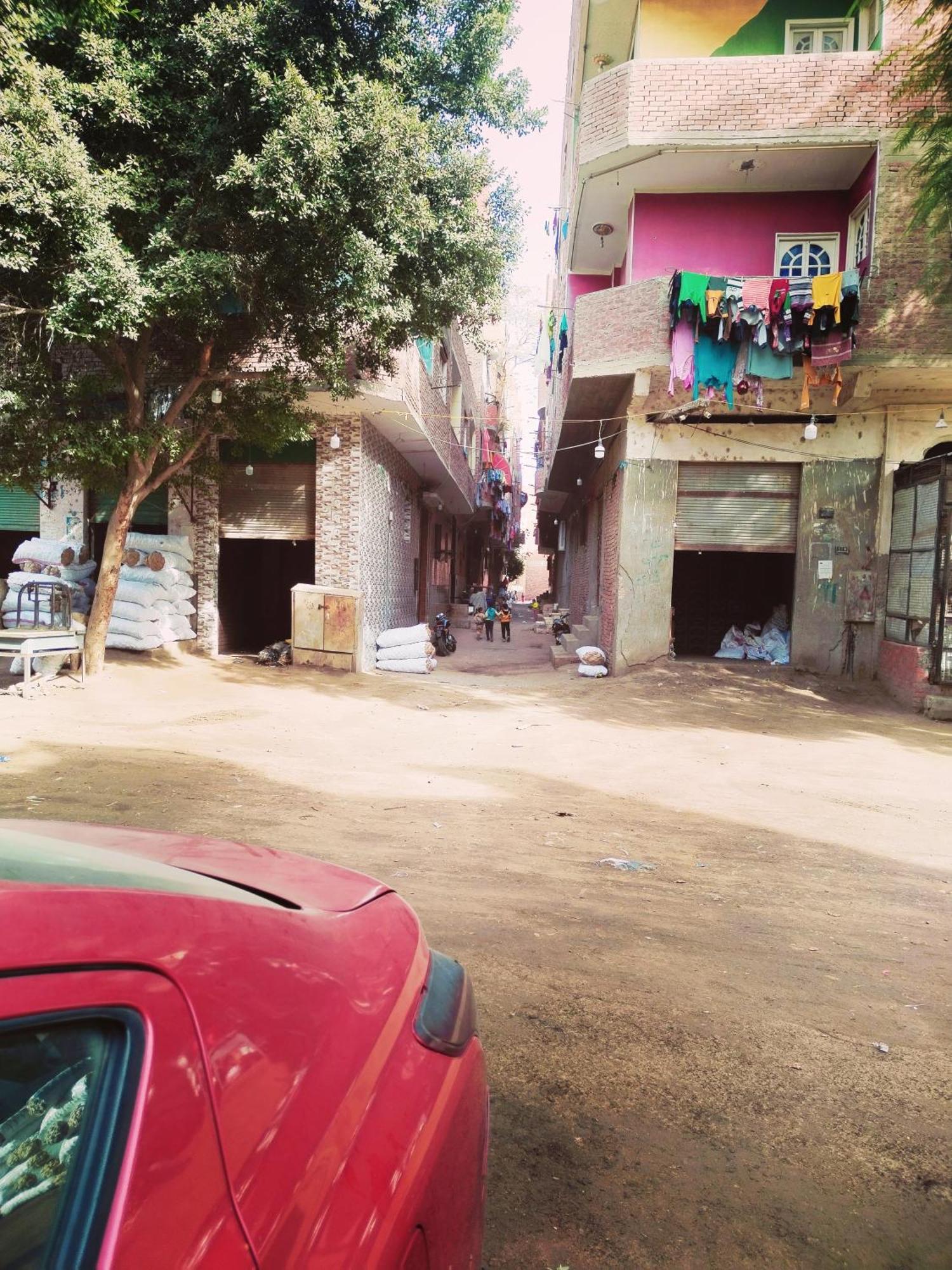 سيد سعد