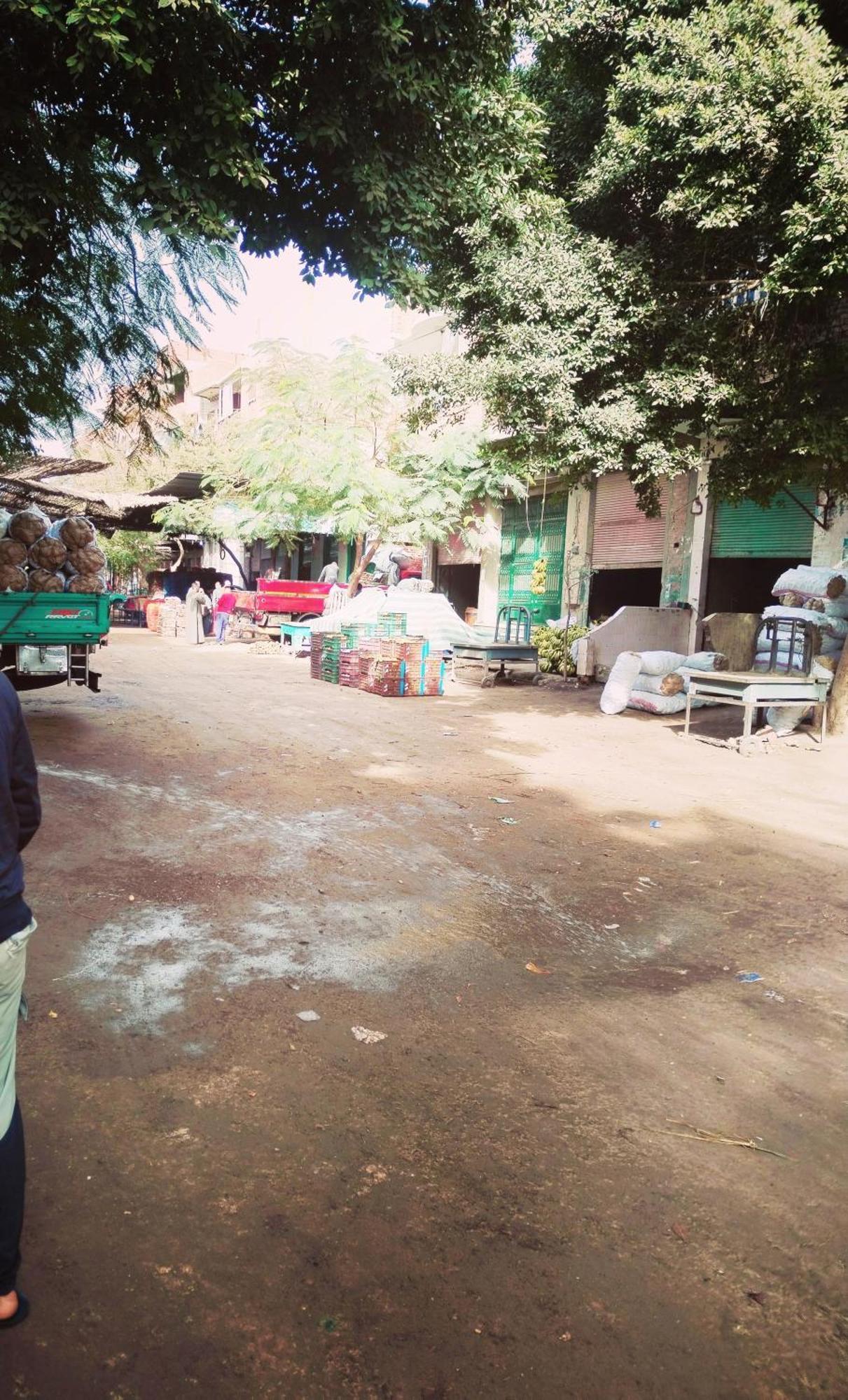 سيد سعد Holiday home Cairo